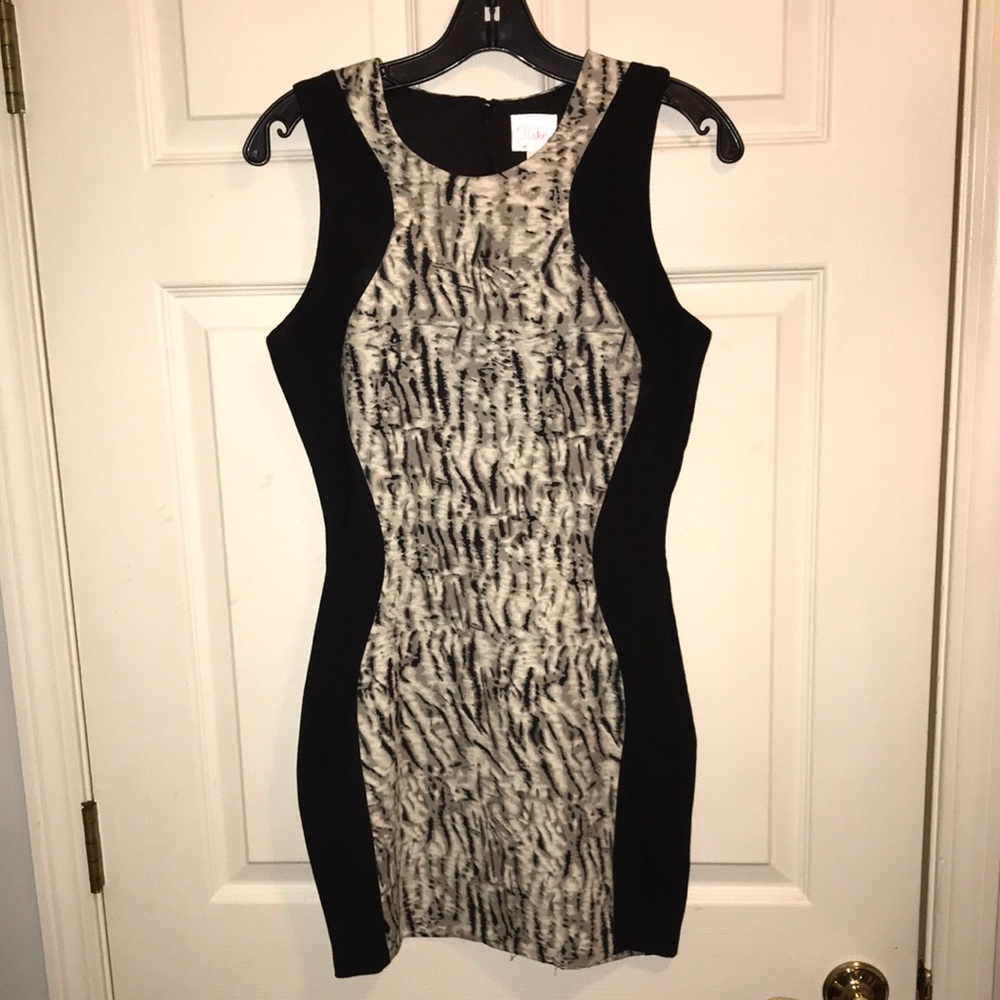 Parker Women’s Dress